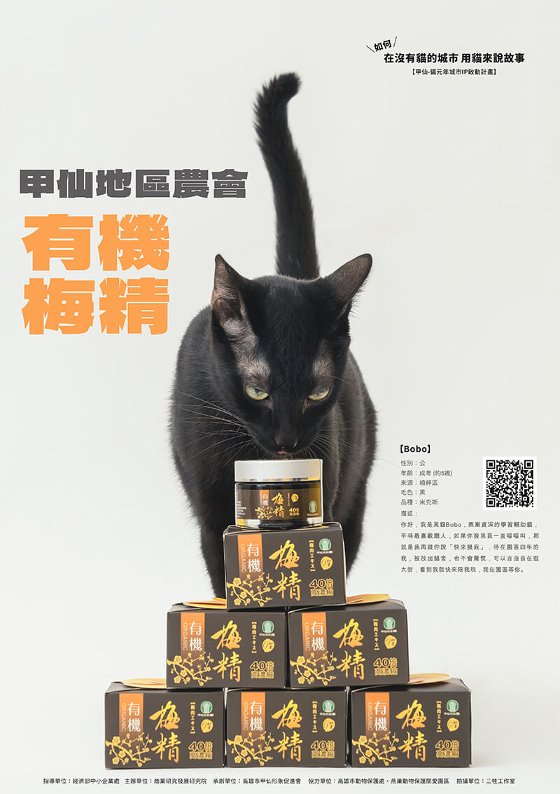 貓鮮食,貓零食,寵物鮮食,甲仙料理,商業攝影,形象照,三牲工作室,三牲商業攝影,somethimgstudio