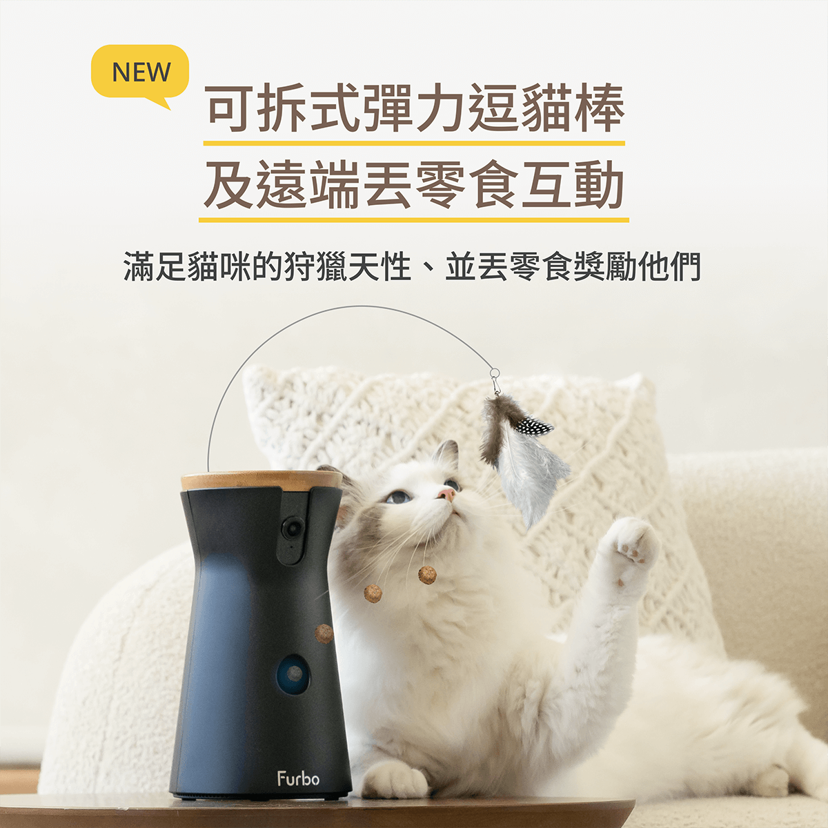 三牲工作室,寵物商業攝影,形象照,somthingstudio,寵物用品,沙發,貓咪,furbo,貓咪攝影機