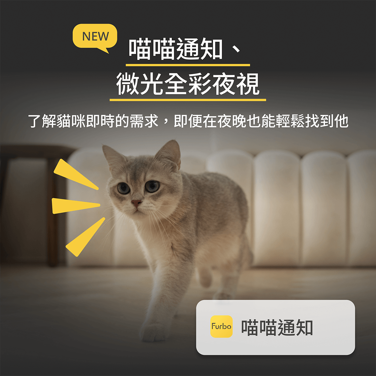 三牲工作室,寵物商業攝影,形象照,somthingstudio,寵物用品,沙發,貓咪,furbo,貓咪攝影機