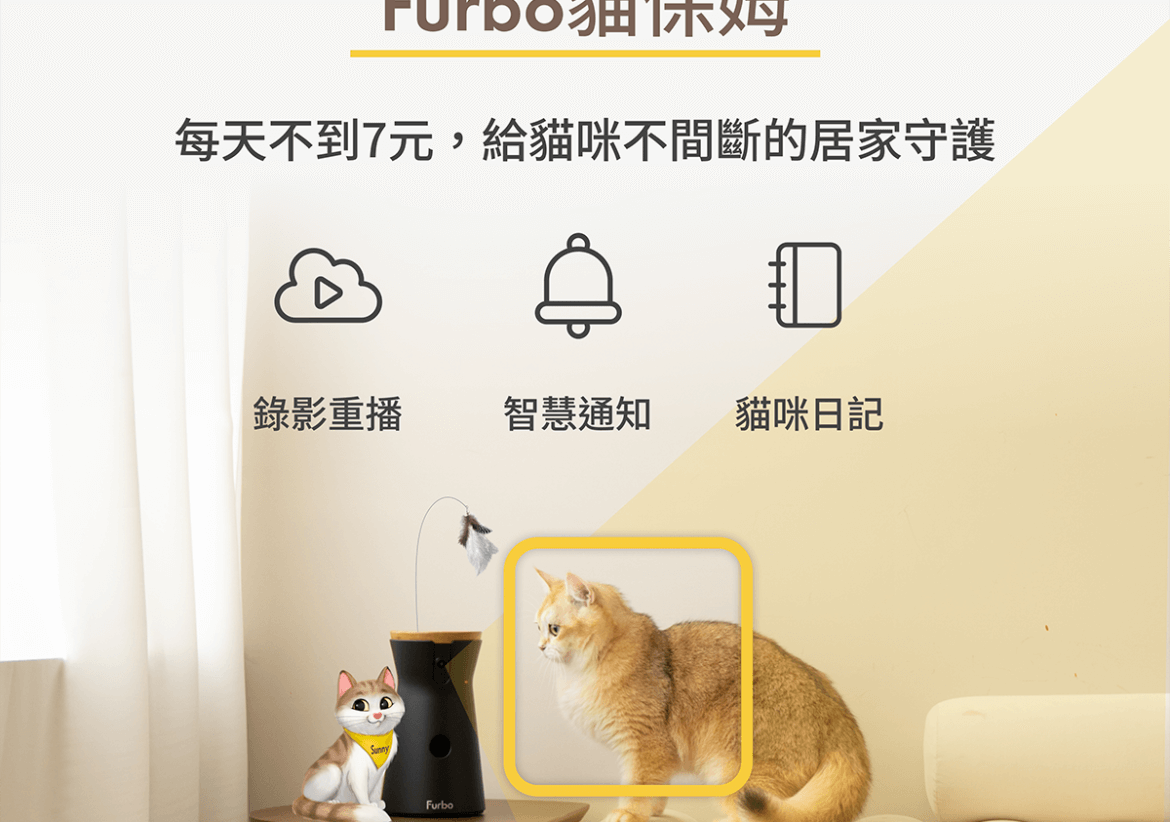 三牲工作室,寵物商業攝影,形象照,somthingstudio,寵物用品,沙發,貓咪,furbo,貓咪攝影機