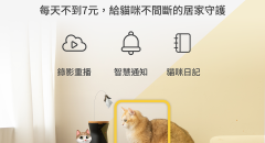 三牲工作室,寵物商業攝影,形象照,somthingstudio,寵物用品,沙發,貓咪,furbo,貓咪攝影機