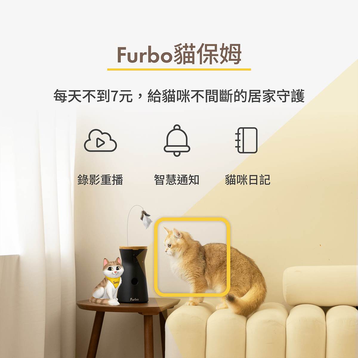 FURBOのペット用品商業撮影作品