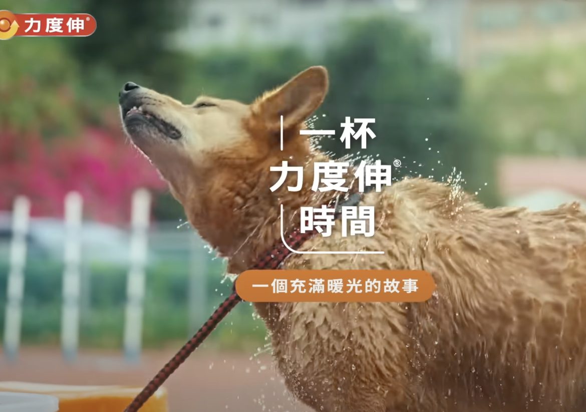 三牲工作室寵物攝影