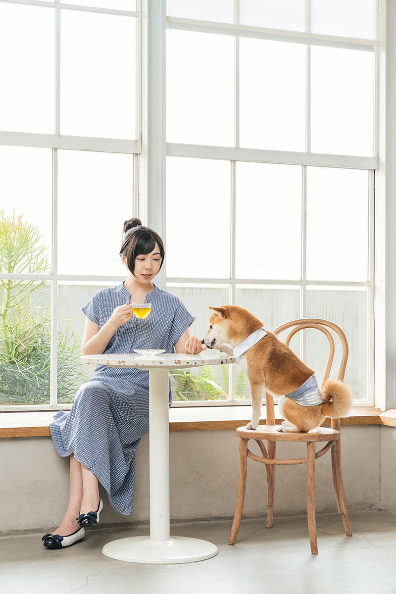 寵物用品の商業撮影作品