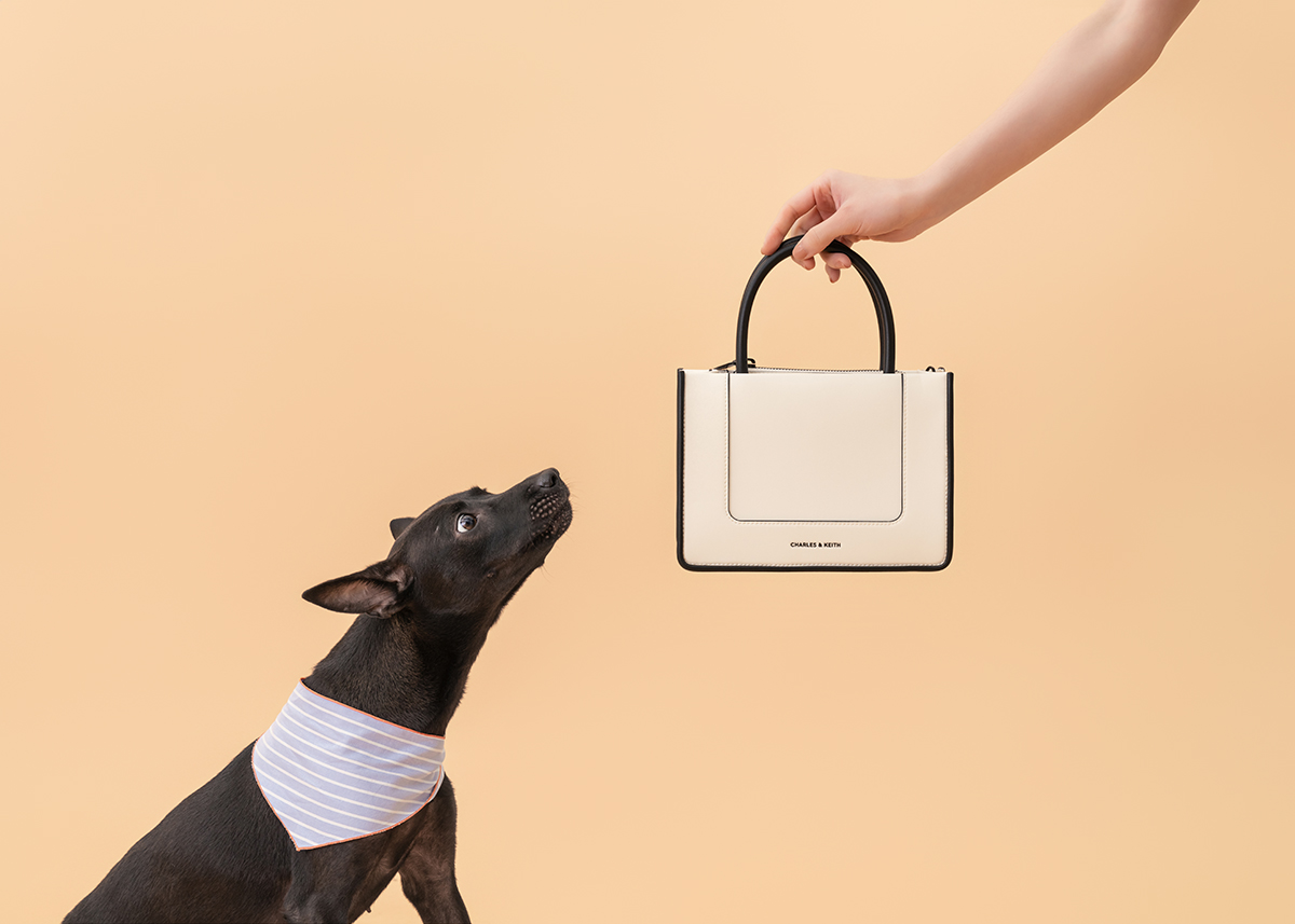 CHARLES&KEITH,小CK,三牲工作室,寵物商業攝影,形象照,somthingstudio,商品照,女用包