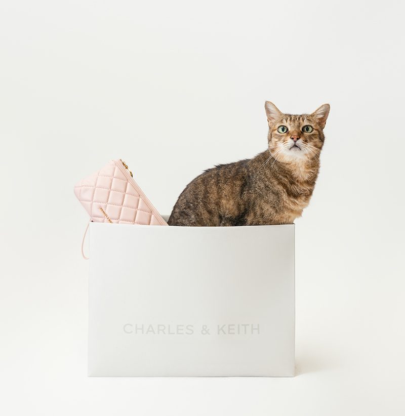 CHARLES&KEITH,小CK,三牲工作室,寵物商業攝影,形象照,somthingstudio,商品照,女用包