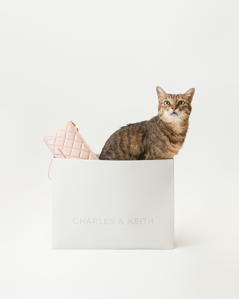 CHARLES & KEITHの商業撮影作品