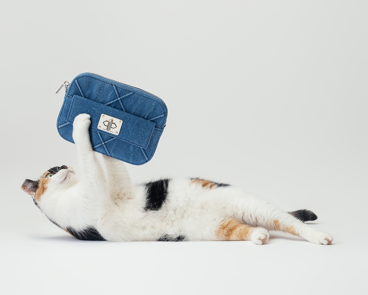 CHARLES&KEITH,小CK,三牲工作室,寵物商業攝影,形象照,somthingstudio,商品照,女用包