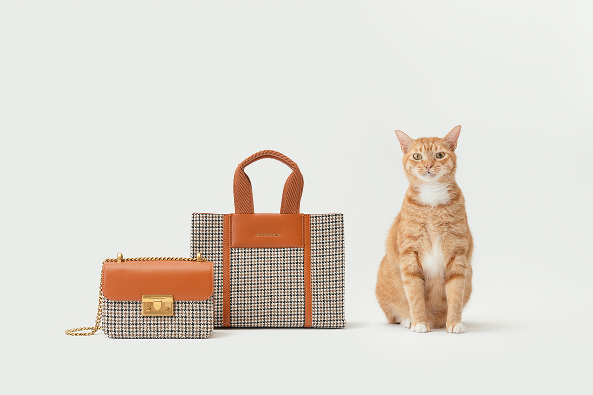 CHARLES&KEITH,小CK,三牲工作室,寵物商業攝影,形象照,somthingstudio,商品照,女用包