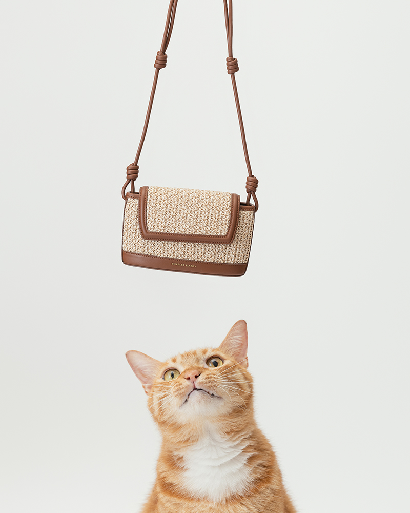 CHARLES&KEITH,小CK,三牲工作室,寵物商業攝影,形象照,somthingstudio,商品照,女用包