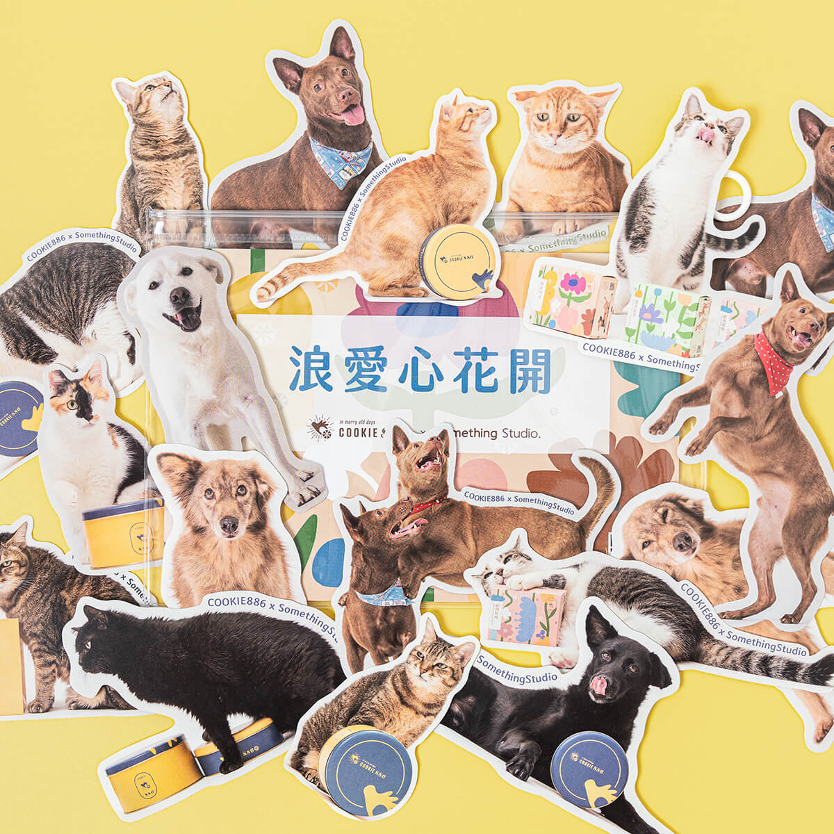 cookie886,曲奇,三牲工作室,寵物商業攝影,形象照,somthingstudio,商品照