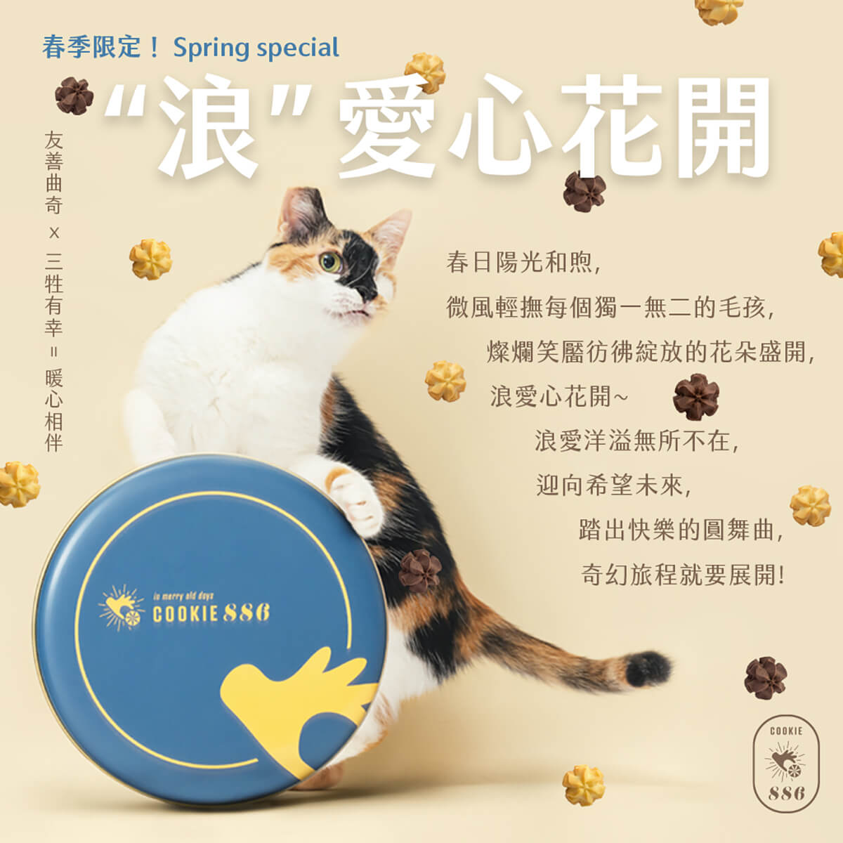 cookie886,曲奇,三牲工作室,寵物商業攝影,形象照,somthingstudio,商品照