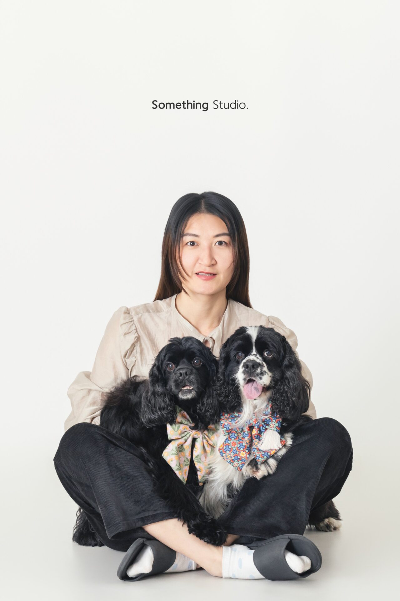 三牲工作室寵物攝影，美國可卡犬棚拍肖像與寵物寫真照片 17