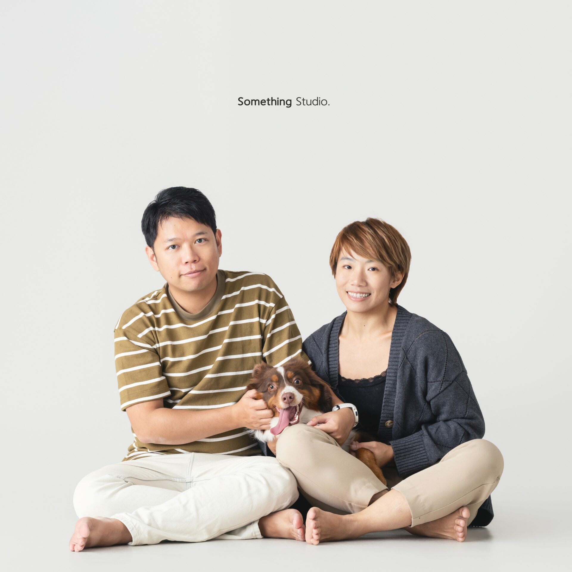 三牲工作室寵物攝影，美國牧羊犬與兔子棚拍肖像與寵物寫真照片 11