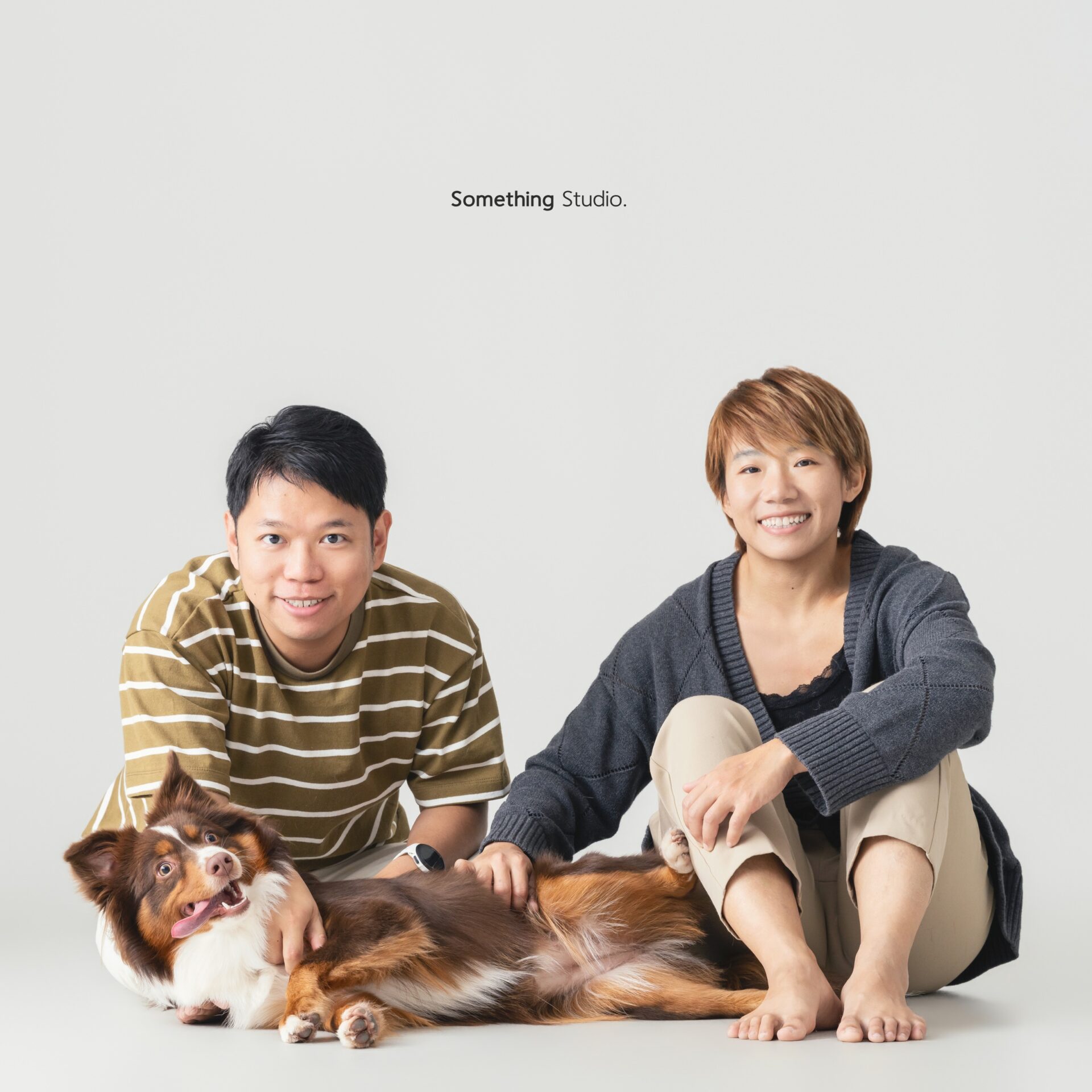 三牲工作室寵物攝影，美國牧羊犬與兔子棚拍肖像與寵物寫真照片 19