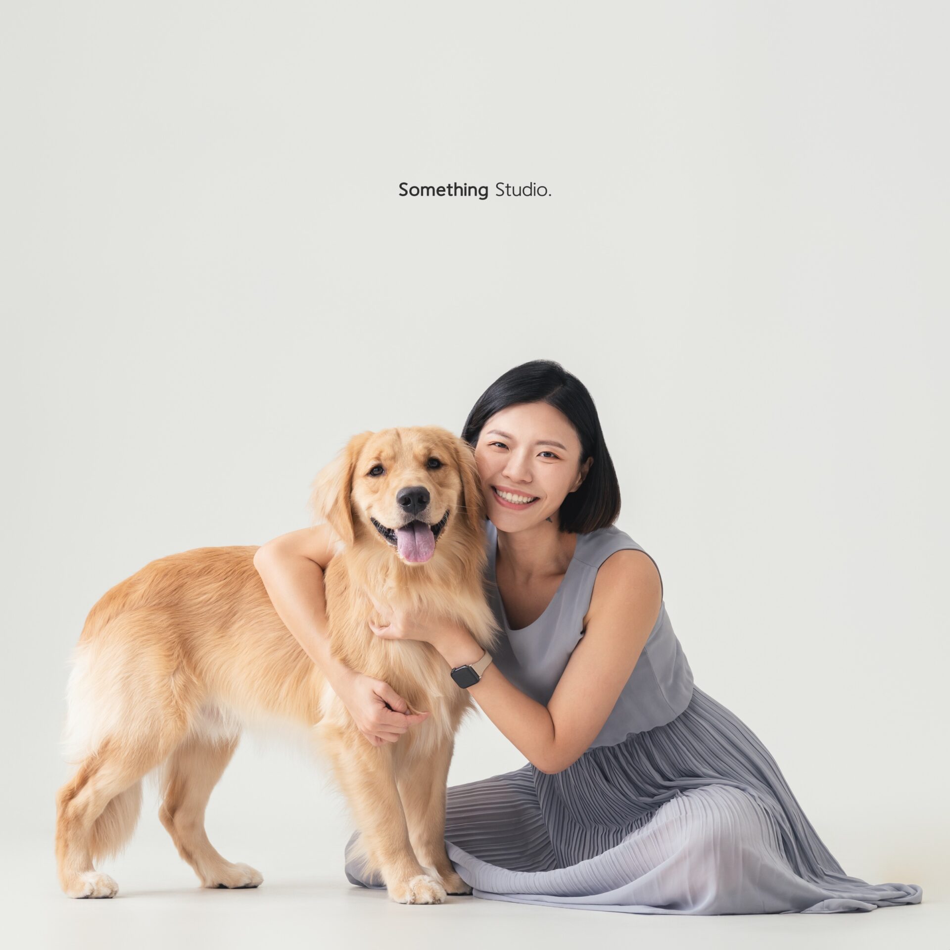 三牲工作室寵物攝影，黃金獵犬棚拍肖像與寵物寫真照片 11