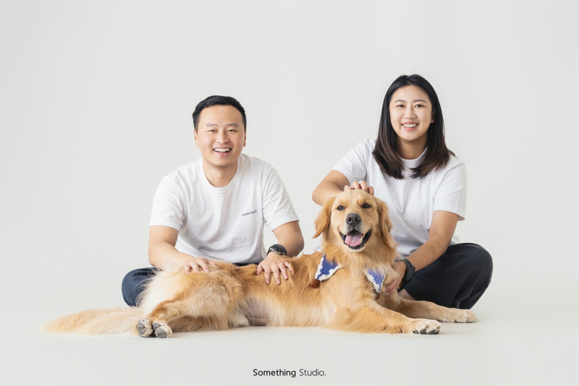 三牲工作室寵物攝影，黃金獵犬棚拍肖像與寵物寫真照片 12