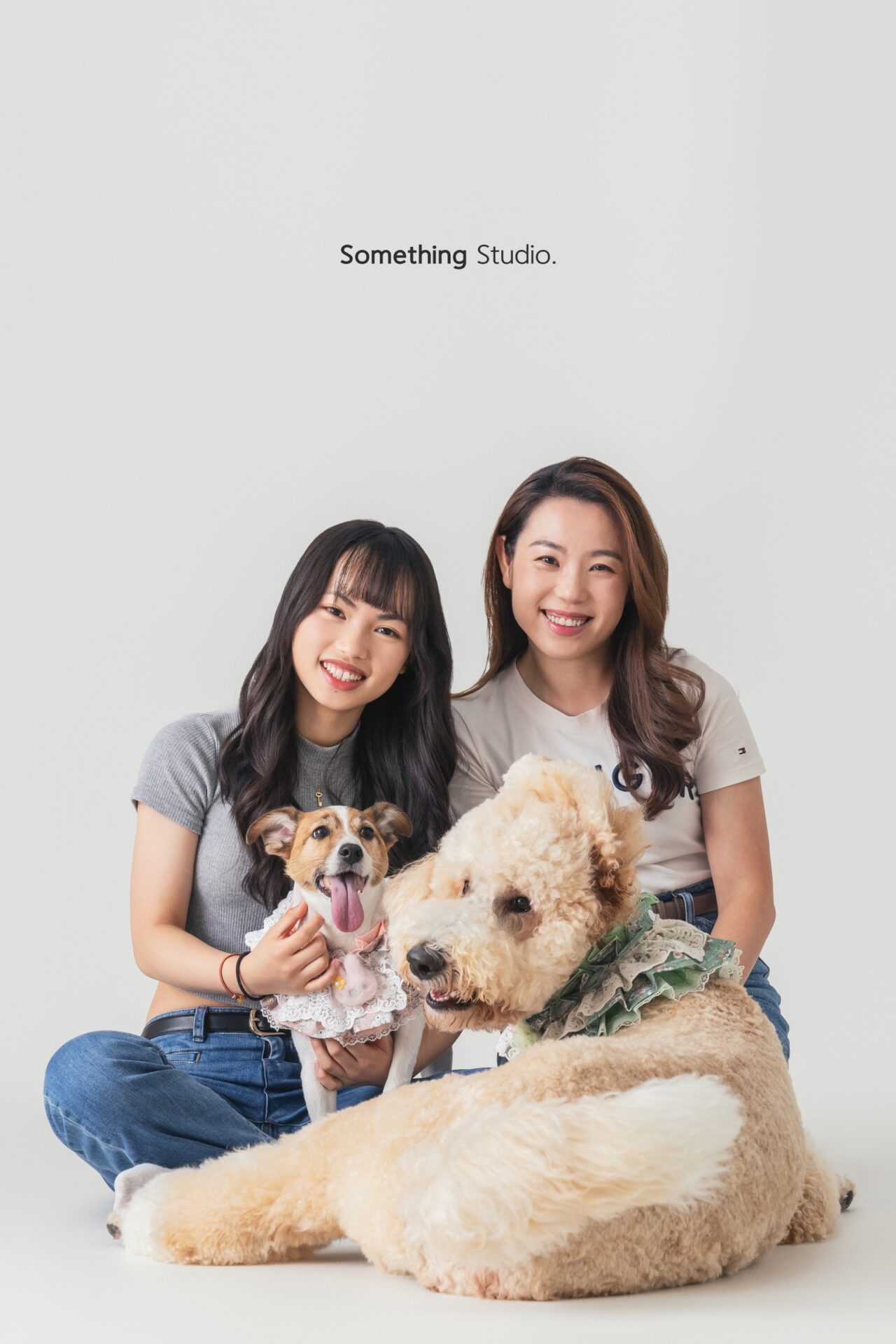 三牲工作室寵物攝影，傑克羅素與貴賓棚拍肖像與寵物寫真照片 09