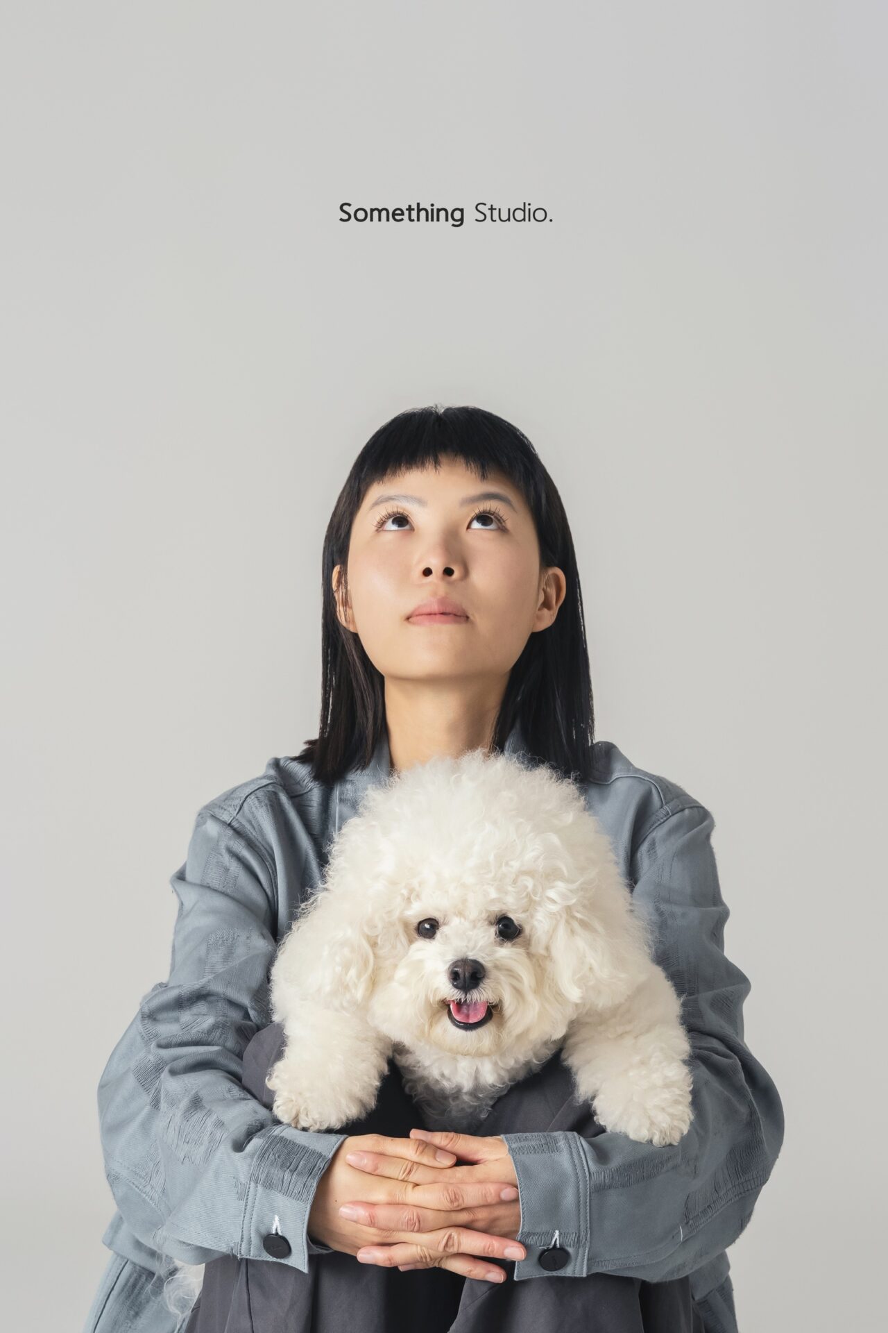 三牲工作室寵物攝影，比熊犬棚拍肖像與寵物寫真照片 09