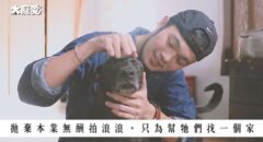 太報報導三牲工作室攝影師 YANG 以專業拍攝浪浪協助找家